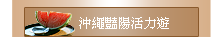 沖繩艷陽活力遊
