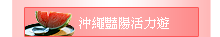 沖繩豔陽活力遊